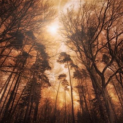 新天地棋牌手机app下载截图